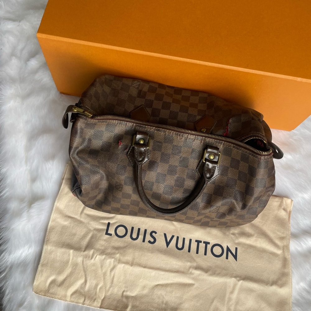 Louis Vuitton Damier Ebene Canvas Bag